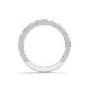 LR-91.4737.1.webp